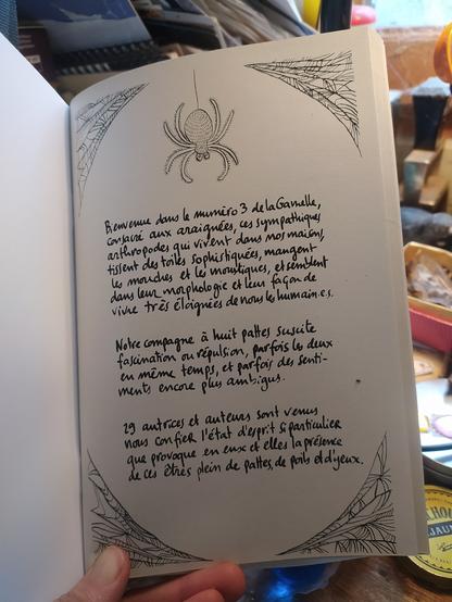 Édito du fanzine sur les araignées