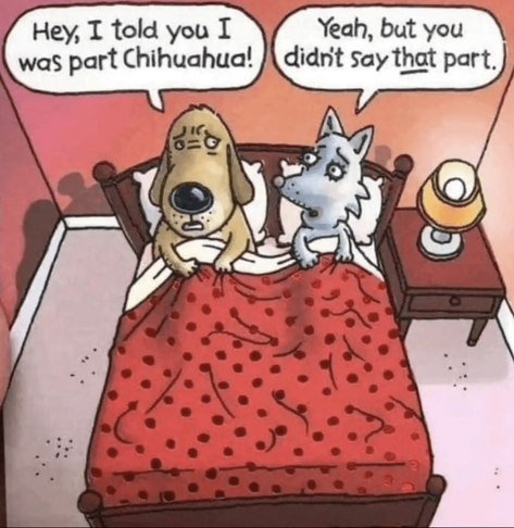 I Told You I am Part Chihuahua