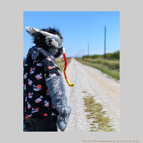 Nahalo wearing a shirt and being all noodle headed on an empty road.