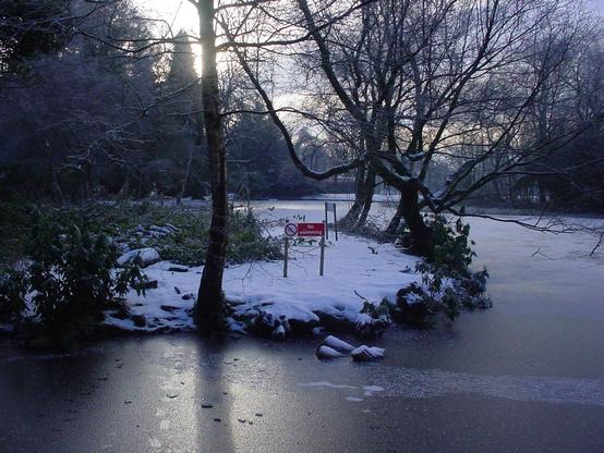 No Swimming! A frozen pond. Taken with a shitty camera.