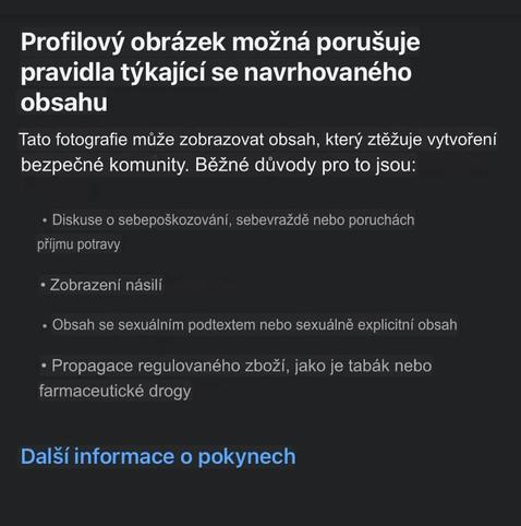 Profilový obrázek možná porušuje pravidla týkající se navrhovaného obsahu.