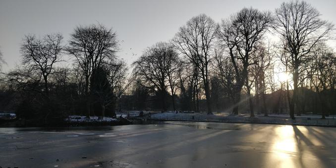The frozen lake at the park.
The sun is low, near the horizon, in a grey sky behind a row of bare trees. The  icy lake reflects the grey of the sky with a patch of bright gold where it catches the sun.