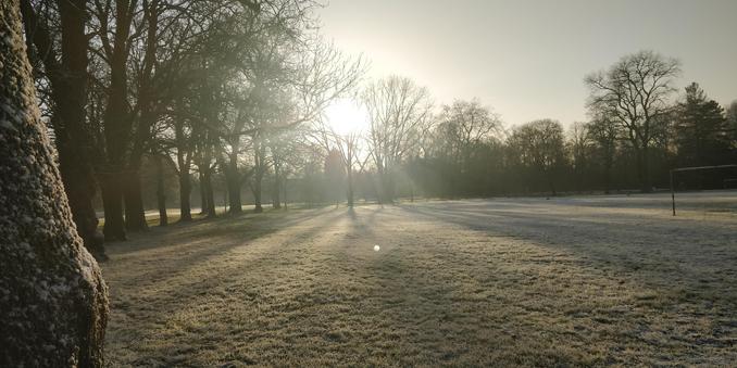 A snow-covered field surrounded by trees.

We're looking into the low sun behind the trees, bright shafts radiating across the snow.