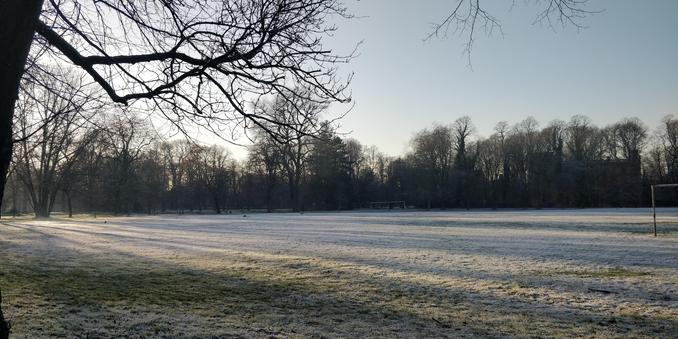 A snow covered field surrounded by trees.

The sun is low, to the left and out of shot. The bare trees are silhouettes. The shadows of the trees stretch across the field leaving irregular bands of gold and lavender grey.