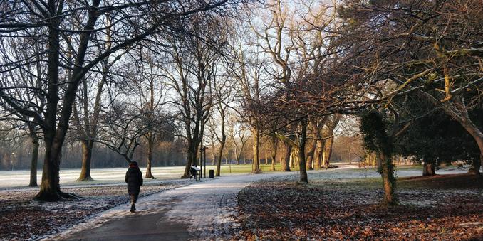 A curving path through a snowy park.

The path is lined by tall trees. The snow in the shadows is grey, there are hints of green in the grass in the distance. The bare trees close to us are black silhouettes, in the distance they glow golden shades in the sunlight