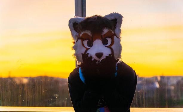 Me in partsuit, paws before my mouth in a shocked expression. In the background, the sky is vividly colored by a beautiful sunset