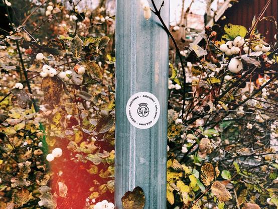 A photo of a sticker stuck to a lamppost. The sticker advertised oslo.town