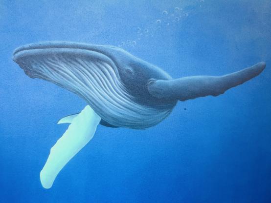 Humpback whale in plastic free ocean, NSW mural