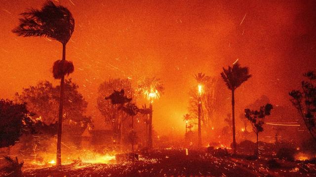 photo - wildfire in Los Angeles, California - street view