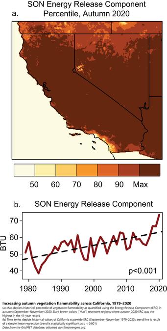 map and chart - Increasing autumn vegetation flammability across California, 1979–2020. (a) Map depicts historical percentile of vegetation flammability as quantified using the Energy Release Component (ERC) in autumn (September–November) 2020. Dark brown colors (“Max”) represent regions where autumn 2020 ERC was the highest in the 41-year record. (b) Time series depicts historical values of California statewide ERC (September–November 1979–2020); trend line is result of a simple linear regression (trend is statistically significant at p < 0.001). Data from the GridMET database, obtained via climateengine.org.