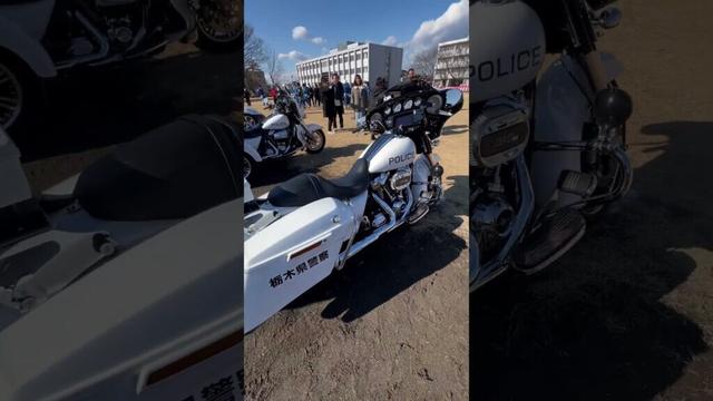 栃木県警察 ハーレーダビットソン白バイTochigi Prefecture Police Harley-Davidson White Buy#shorts