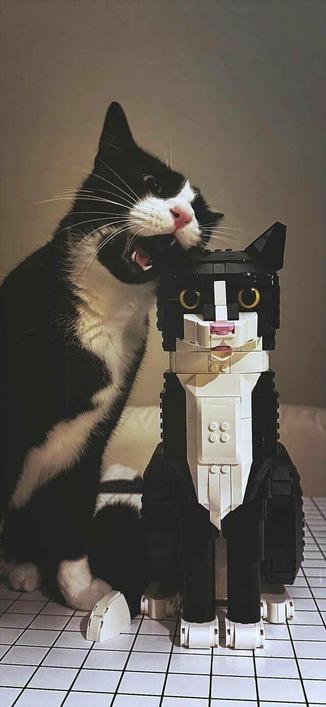 Kitty biting a Lego version of itself