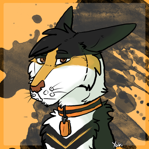 A bust of yoki a gray white and tan kangaroo with a static face and a orange collar with dual tags.