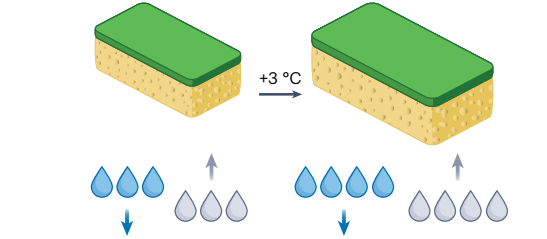 Imagen de dos esponjas. Una de ellas es más grande porque está a 3ºC por encima del promedio preindustrial. Con gotas de agua se representa la cantidad de agua que puede absorber y soltar. La esponja más grande puede hacer ambas cosas en mayor magnitud.
