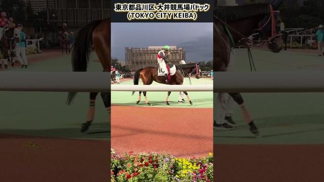 東京都品川区 大井競馬場パドック(TOKYO CITY KEIBA)