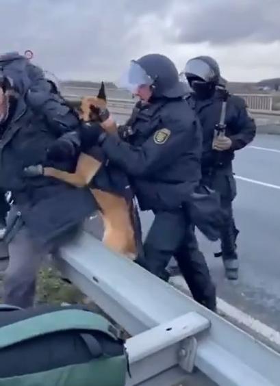 Ein Polizist drückt einen Schäferhund ohne Maulkorb gegen einen Demonstranten.