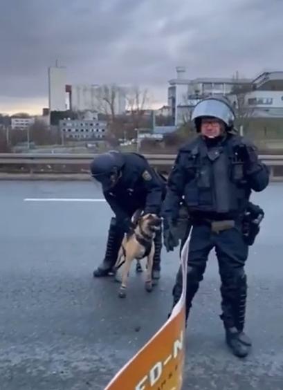 Zwei Polizisten auf der Straße, einer mit Hund.