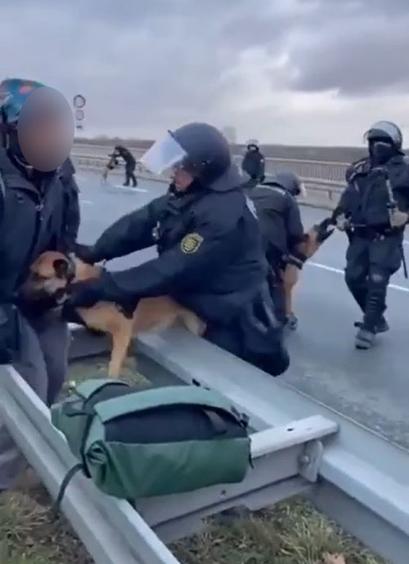 Ein Polizist drückt einen Schäferhund ohne Maulkorb gegen einen Demonstranten. Der Hund hängt wegen des Drückens des Beamten halb über einer Leitplanke.