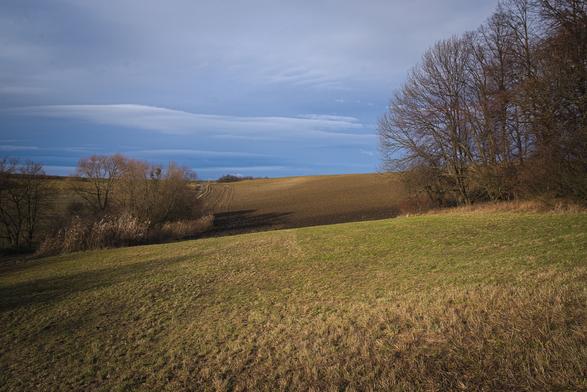 Podzimní krajina nasvícená sluncem. V popředí louka, v pozadí zorané pole, vpravo i vlevo stromy.