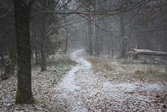 Pěšinka lesem, mírně zasněžená a stále sněží.