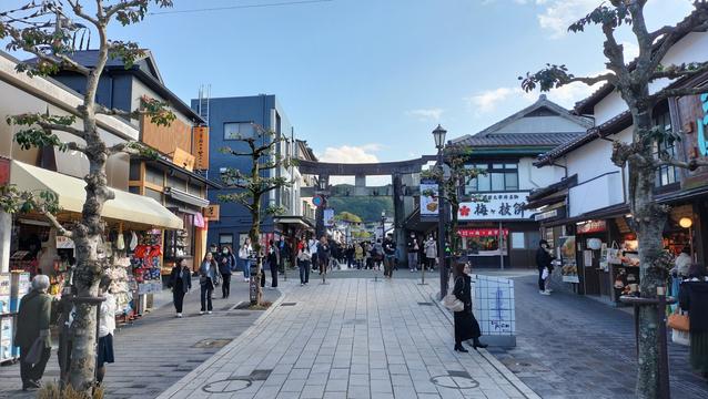 A wide pedestrian boulevard in Japan. There are souvenir shops and restaurants lining it on either side, and the occasional tree. There are many people walking around. There is a series of Shinto shrine gates receding into the distance.