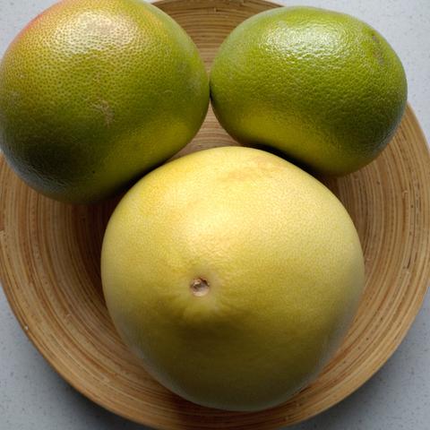 drei Pomelos liegen in einer flachen Holzschüssel