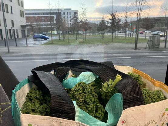 Photo of a basket of vegetables from a local garden, transported by bus from my workplace to my home. There is a reusable bag with kale leaves visible, the bag is sitting on a bus seat, next to the window, the sky is setting and is pale pink-blue.