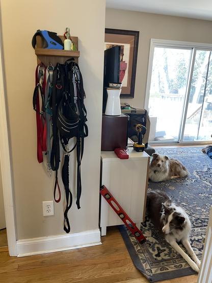 small shelf with flexi lead and poop bags. several dog leashes hang on hooks below. loki and echo are laying down in the background looking content.
