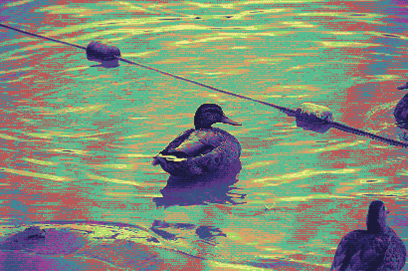 a long telezoom picture of a duck on the water, dithered into greens, purples and reds