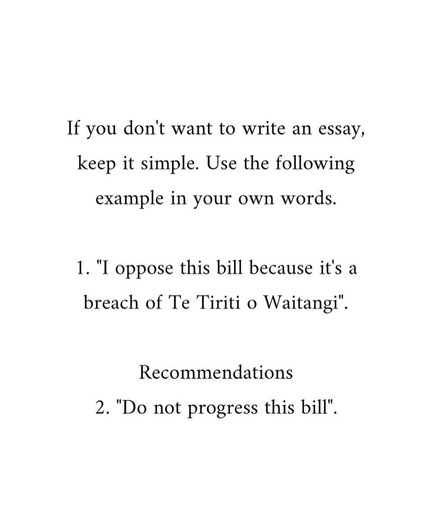 Black text on a white background: If you don't want to write an essay, keep it simple. Use the following example in your own words. 1. I oppose this bill because it's a breach of Te Tiriti o Waitangi. Recommendations: 2. Do not progress this bill.