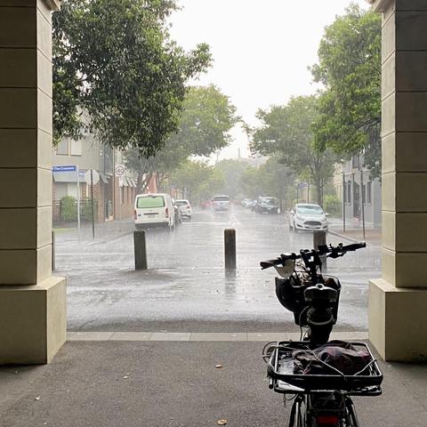 An ecargo bike parked under shelter, looking out between two columns, past a row of bollards, up a rain drenched, leafy suburban street