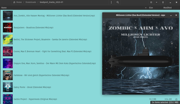 Screenshot einer Liste von Liedern