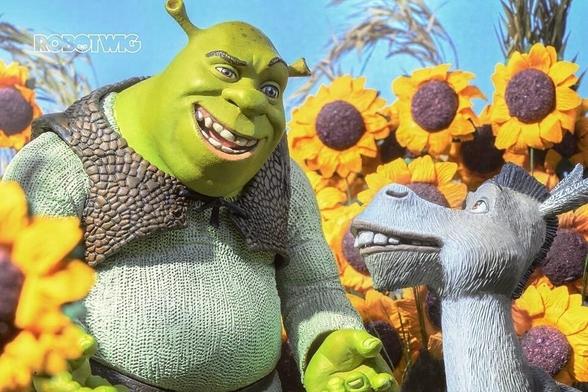 Shrek and Donkey in a Sunflower field