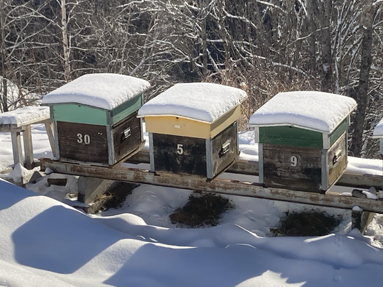 Bienenkästen mit Schneehaube
