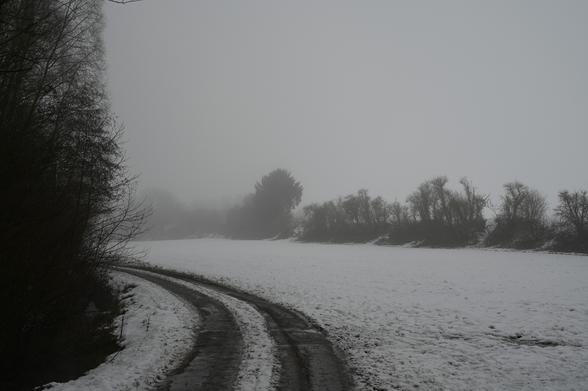 Etwas trostlos liegt das schneegezuckerte Feld im leichten Nebel. Dahinter die Baume und Buesche, nur dunkle Gerippe die der Nebel verschlucken m{chte. Der dreckig gefahrene Feldwegbiegt sanft links um die Buschreihe, die das Bild nach links beschließt.