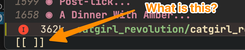 an annotated screenshot showing a status bar at the bottom with two opening square brackets a space and then two closing square brackets. There is an arrow pointing to it with the text "what is this?"