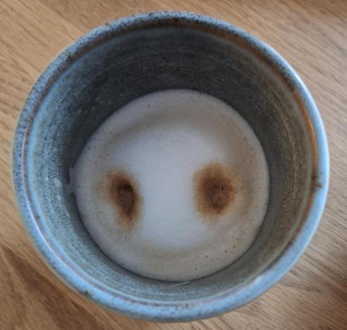 Sojamilchschaum auf dem Kaffee; zwei Kaffeeeintrittslöcher des Halbautomaten; sieht aus wie weiß-braune Ferkelnase