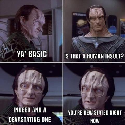 A four-panel meme from Star Trek: Deep Space Nine featuring Cardassians Garak and Gul Dukat.

Panel 1: Garak, a Cardassian with ridged gray skin and a sly expression, wearing a green patterned tunic, turns slightly and smirks while saying, 'Ya' basic.'

Panel 2: Gul Dukat, another Cardassian with pronounced facial ridges and slicked-back hair, dressed in a dark Cardassian military uniform, looks bewildered and asks, 'Is that a human insult?'

Panel 3: Garak, still smirking and maintaining eye contact, confidently replies, 'Indeed and a devastating one.'

Panel 4: Garak calmly adds, 'You're devastated right now.'" with a pointed expression, maintaining eye contact.