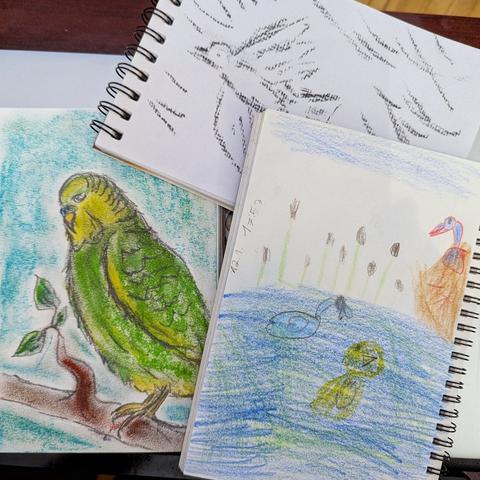 Drei Zeichenblöck A5, leicht überlappend. Auf einem ist eine Zeichnung (Mix aus Kreide und Bleistift) eines grün-gelben Wellensittiches auf einem Zweig, ein anderes zeigt mit Kohle gezeichnet den Umriss einer fliegenden Krähe am Himmel, das dritte zeigt (mit Buntstiften gezeichnet) einen Teich mit Schilf. Im Teich schwimmen zwei Enten, am Rand sitzt eine Ente in einem Nest.