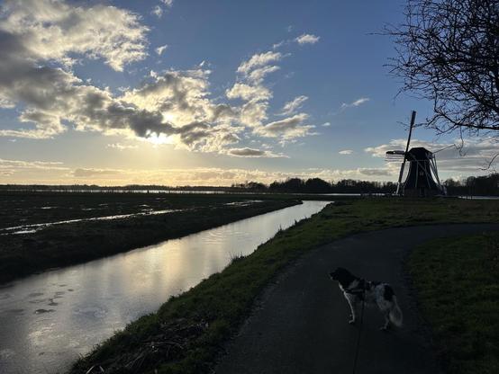 Molen naast een sloot
