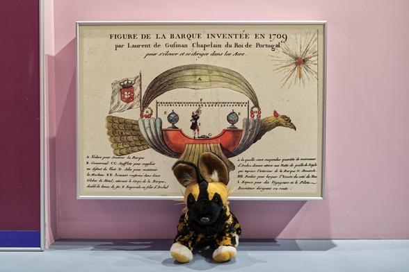 The photo shows a framed historical illustration of an early flying machine design. A stuffed African wild dog sits in front of it, likely posed for the picture.