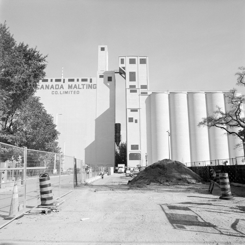 The new roadway up to the restored Canada Malting silos is being laid out, leading to the division between the impressive industrial structure, its new smooth concrete bright on a sunny day.