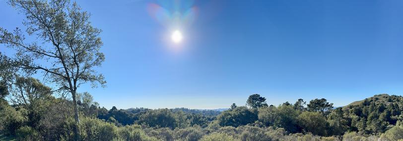 A panorama of the landscape of the Berkeley hills