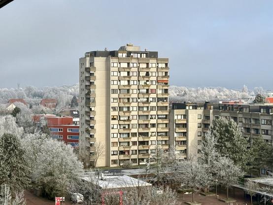 A nearby high rise building with lots of frosted over trees in the background,