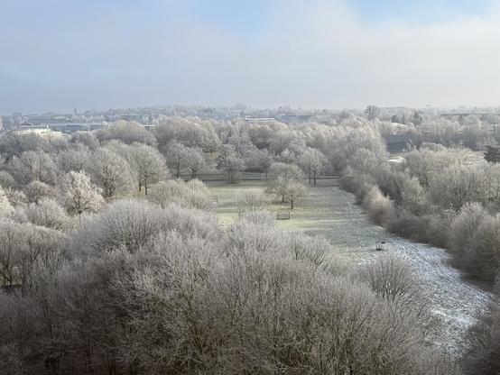 A frosty park.