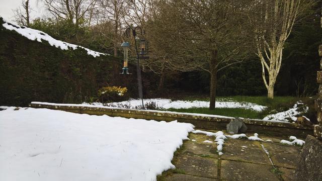 #NotRoses... For #TheLittleTweeters...!