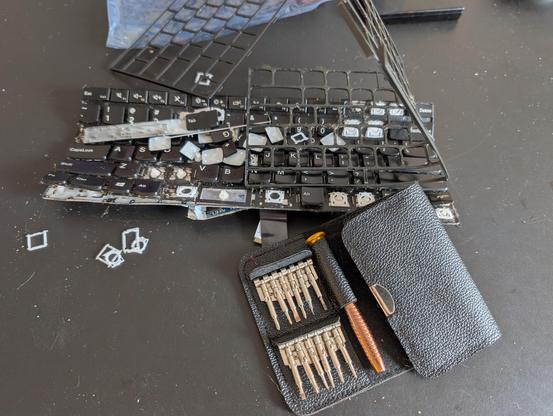 A picture of an utterly destroyed laptop keyboard