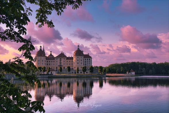 Schloss Moritzburg in Sachsen bei Sonnenuntergang. Das barocke Jagdschloss mit seinen charakteristischen Rundtürmen und kupferfarbenen Kuppeln spiegelt sich im ruhigen Schlossteich. Der Himmel erstrahlt in dramatischen Rosa- und Violetttönen, die sich im Wasser widerspiegeln. Im Vordergrund rahmen dunkle Blätter eines Baumes das Bild ein, während im Hintergrund ein Waldrand zu sehen ist. Die symmetrische Architektur des cremefarbenen Schlosses wird von einer Reihe gleichmäßig gepflanzter Bäume umgeben. Am rechten Ufer ist ein kleines rotes Nebengebäude zu erkennen. Die friedvolle Abendstimmung verleiht dem historischen Ensemble eine märchenhafte Atmosphäre.