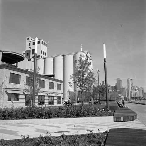 A new waterfront public space with newly planted gardens and thin trees is enjoyed by a smattering of people on the wooden benches and some sitting at tables on a faux lawn. The malting silos loom over the old port building with the downtown skyline in the distance while the top of the CN Towers peaks overtop.