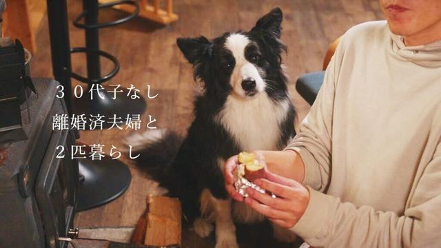 ３０代離婚済み夫婦｜愛犬２匹と薪ストーブで作る焼き芋に幸せを感じる冬の一日【ボーダーコリー】